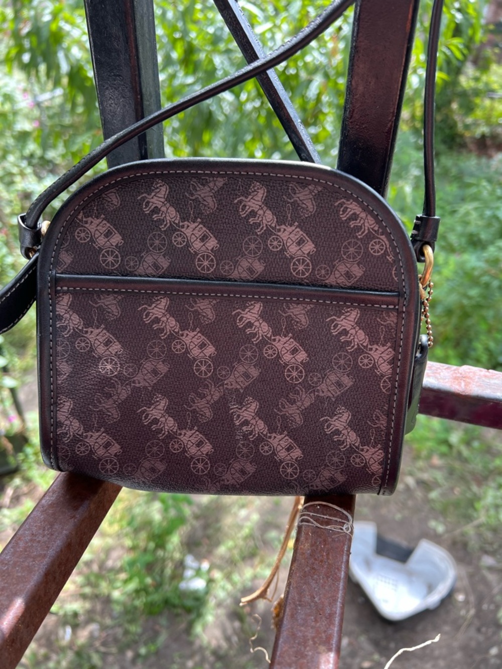 Limited edition  Leather Crossbody Bag in Dark Brown - Signature Carriage Print